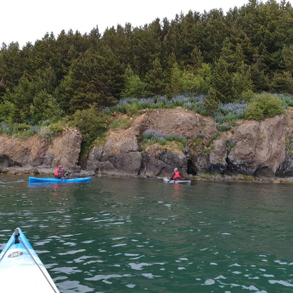 Sjókayaknámskeið 23. og 24. maí