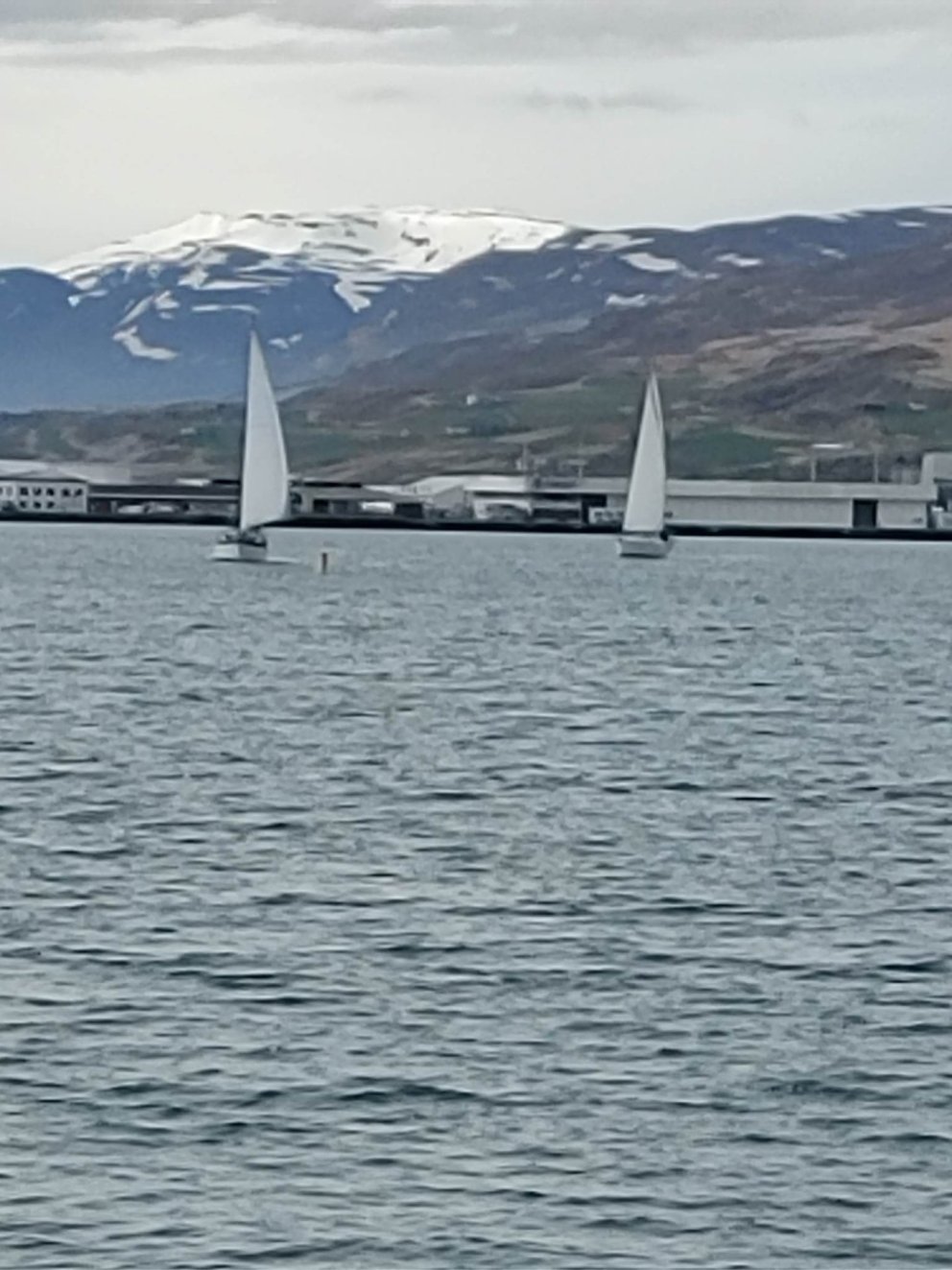 Fyrsta siglingakeppni sumarsins.