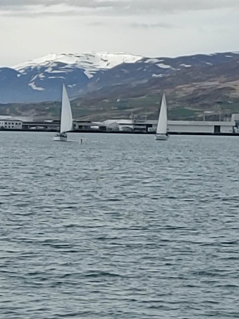 Fyrsta siglingakeppni sumarsins.